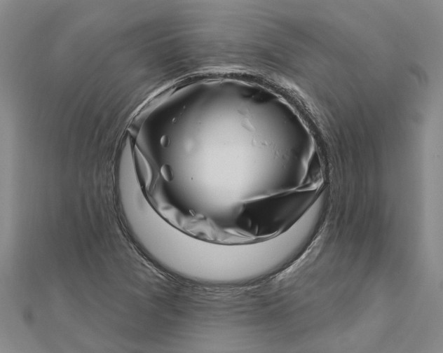 X0000112461361200908311321