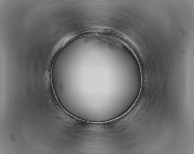 X0000112461362200908311321