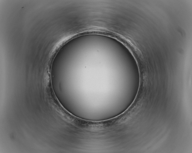 X0000112461363200908311321