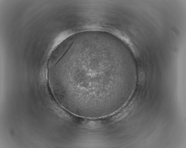 X0000112461365200908311321