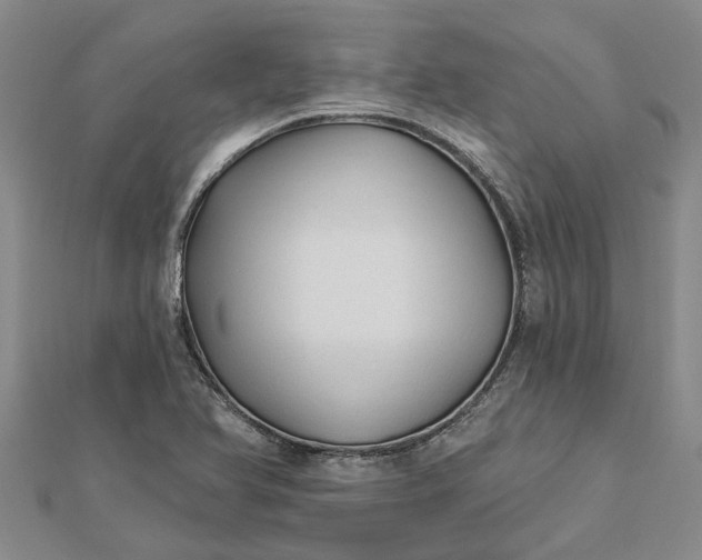 X0000112461366200908311321