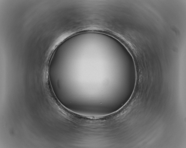 X0000112461367200908311321