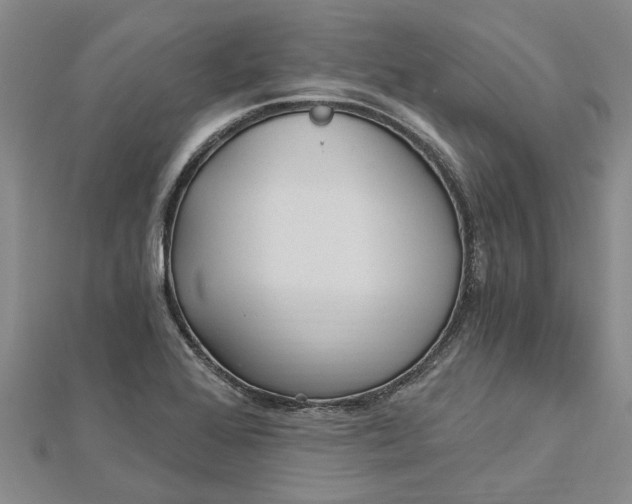 X0000112461368200908311321