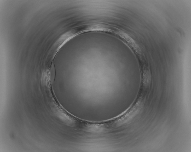 X0000112461369200908311321