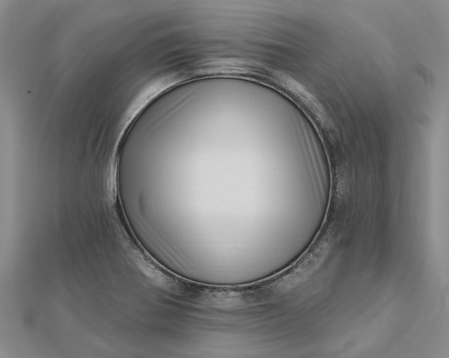 X0000112461370200908311321