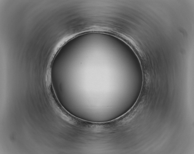 X0000112461371200908311320