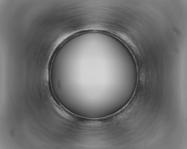 X0000112461372200908311320