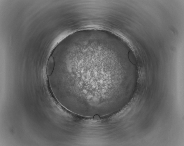 X0000112461373200908311320