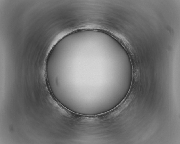 X0000112461374200908311320