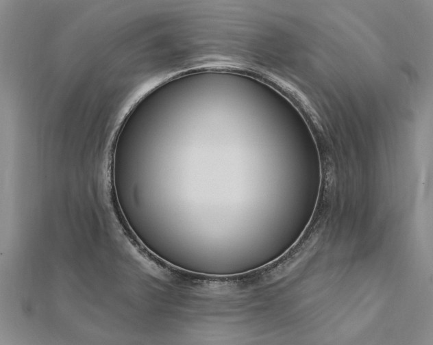 X0000112461375200908311320