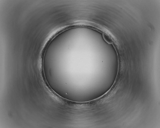 X0000112461376200908311320