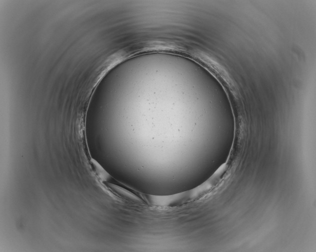 X0000112461377200908311320