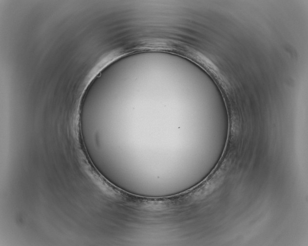 X0000112461378200908311320