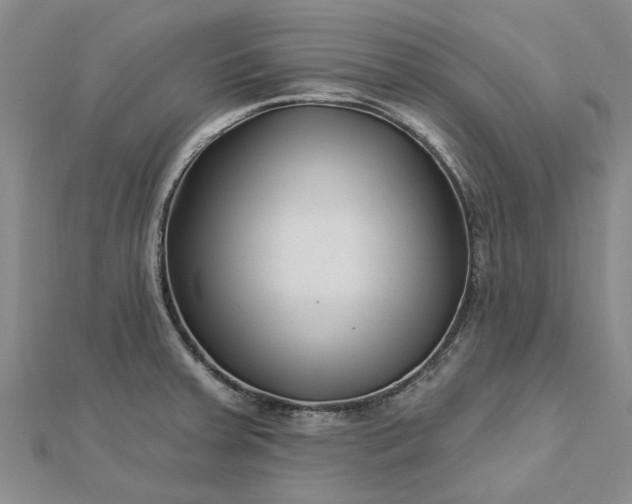 X0000112461379200908311320