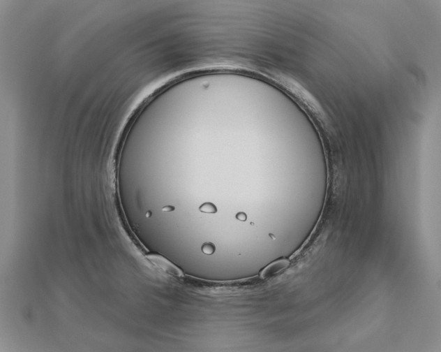 X0000112461380200908311320