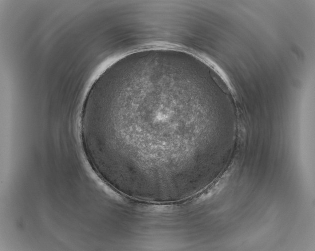 X0000112461381200908311320