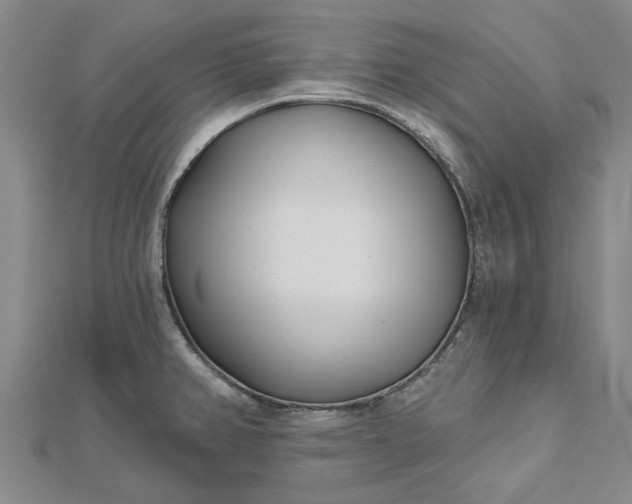 X0000112461382200908311320