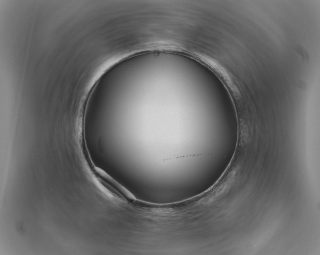 X0000112461383200908311320