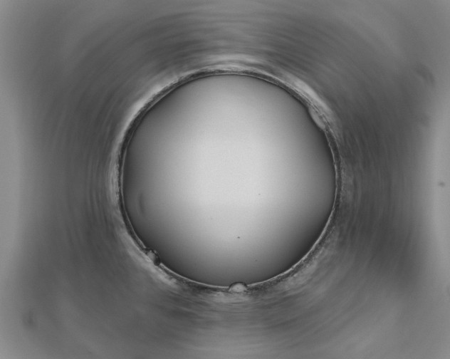 X0000112461384200908311320