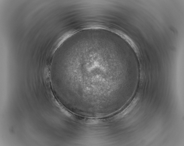 X0000112461385200908311320