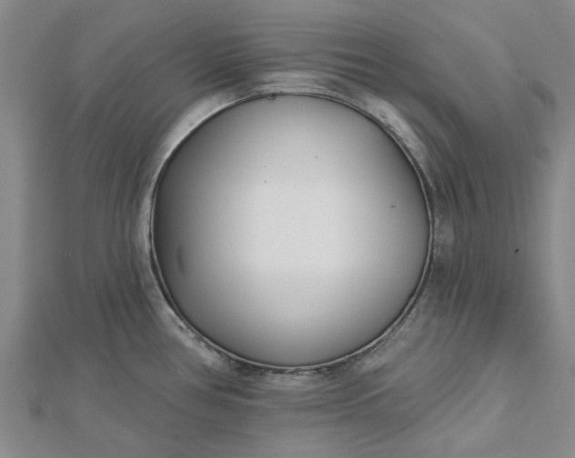 X0000112461386200908311320