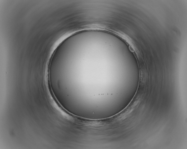 X0000112461387200908311320