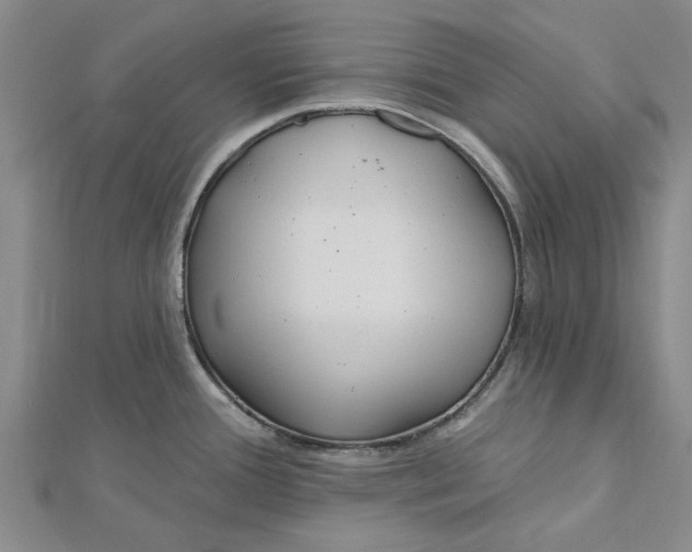 X0000112461388200908311320