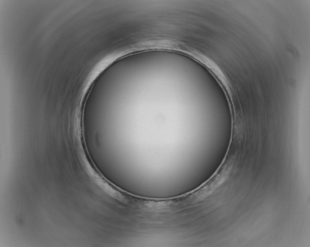 X0000112461389200908311320