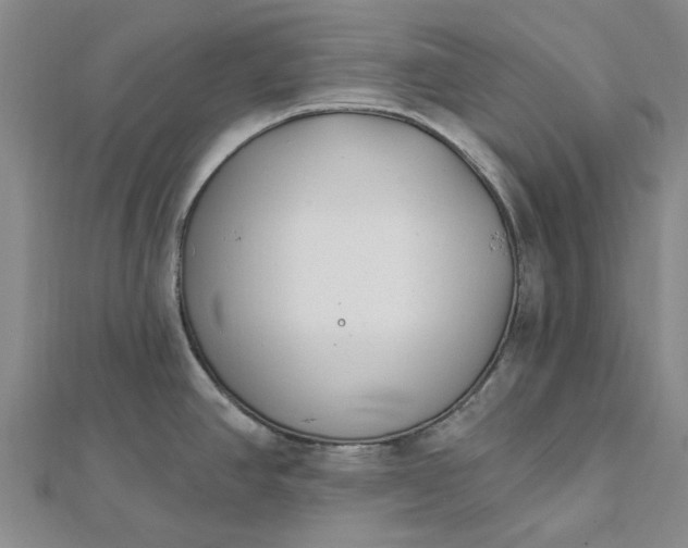 X0000112461390200908311320