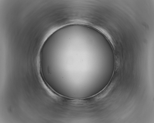 X0000112461391200908311320