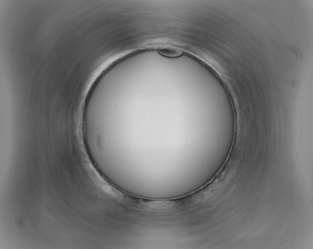 X0000112461392200908311320