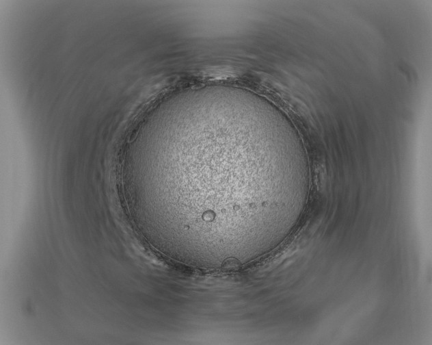 X0000112461393200908311319