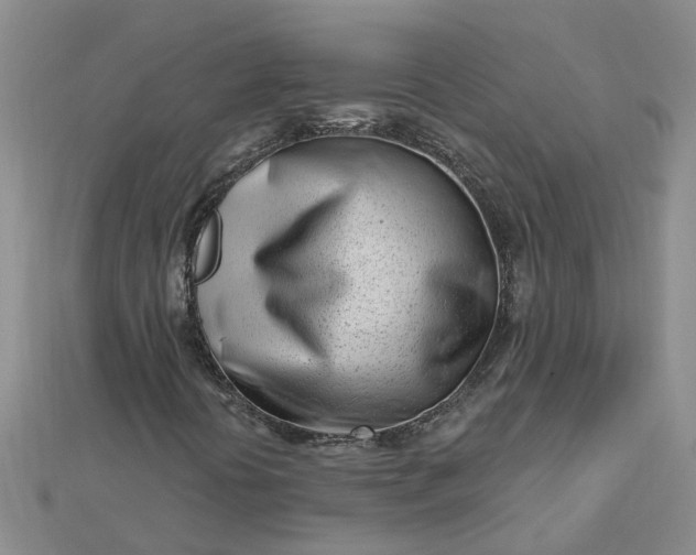 X0000112461394200908311319