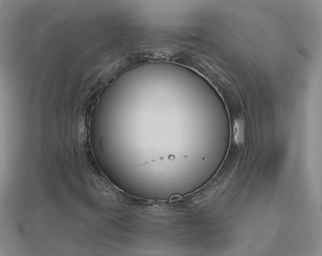 X0000112461395200908311319