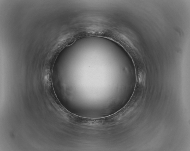 X0000112461396200908311319