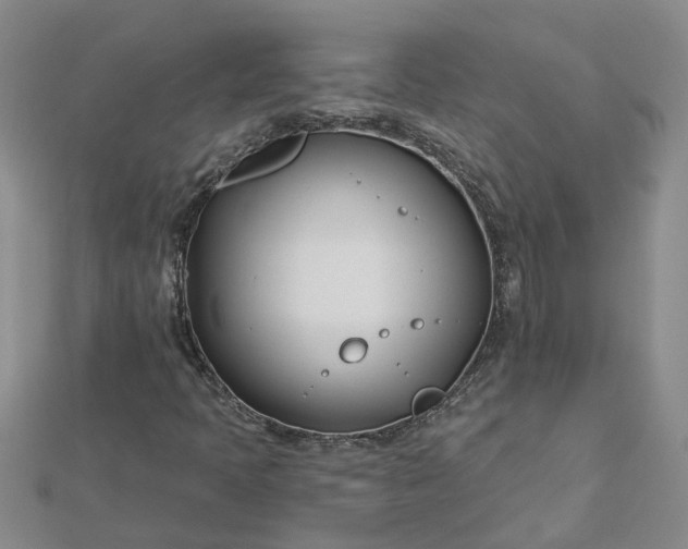 X0000112461397200908311319