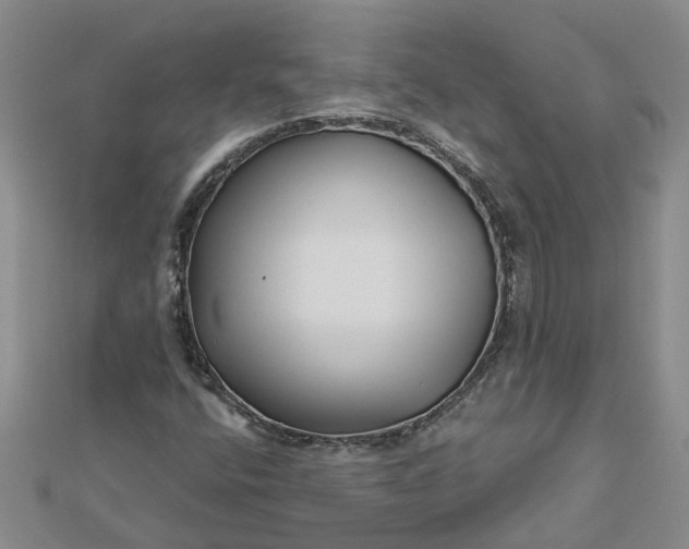 X0000112461400200908311320