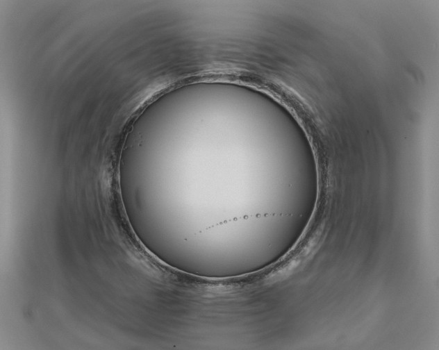 X0000112461401200908311320