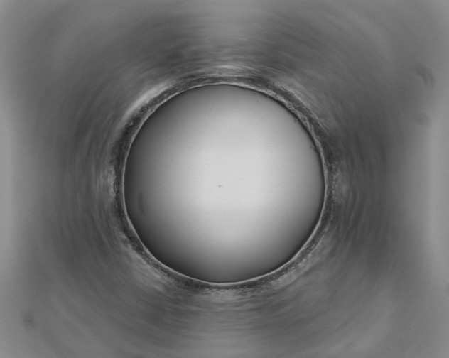 X0000112461402200908311320