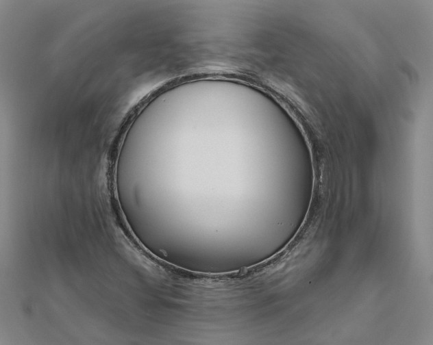 X0000112461404200908311320