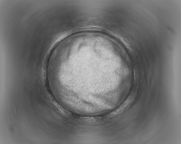 X0000112461405200908311320