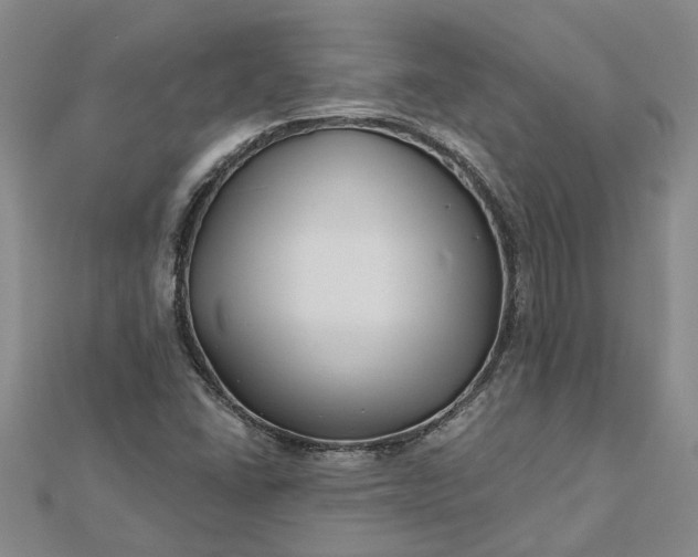 X0000112461406200908311320