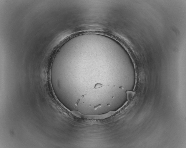 X0000112461407200908311320