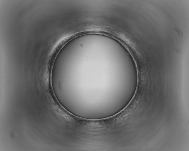 X0000112461408200908311320