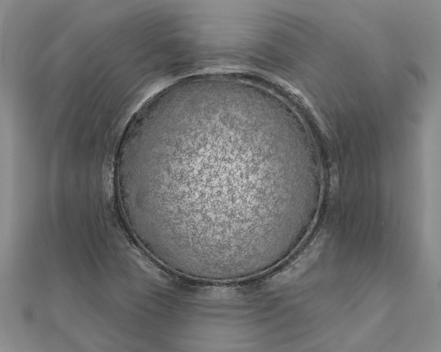 X0000112461409200908311320