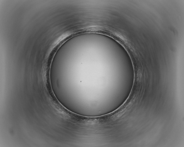 X0000112461410200908311320