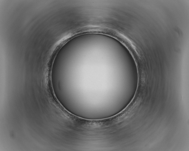 X0000112461411200908311320