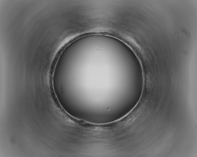 X0000112461412200908311320