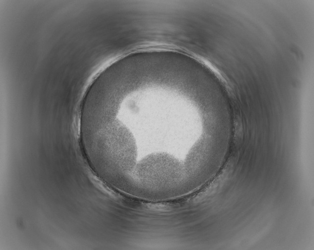 X0000112461413200908311320