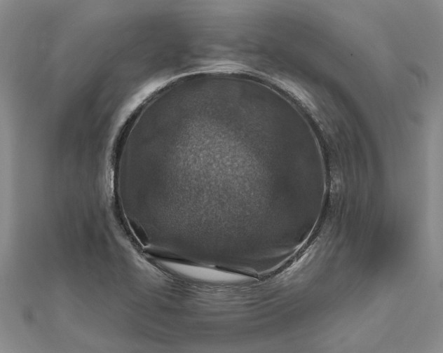 X0000112461414200908311320